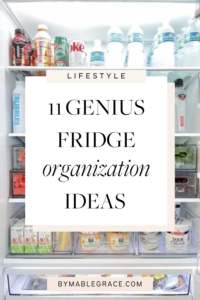 fridge organization ideas